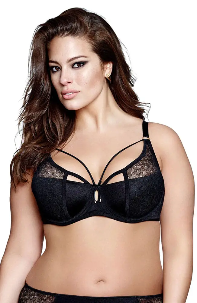 Plus Size Bra