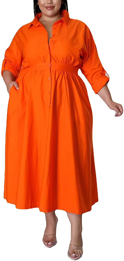 Plus Size Wardrobe Staples - Day Dress - 08